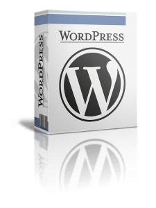Wordpress CMS en Blog